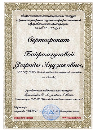 альтернативное описание картинки