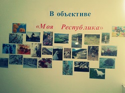 альтернативное описание картинки